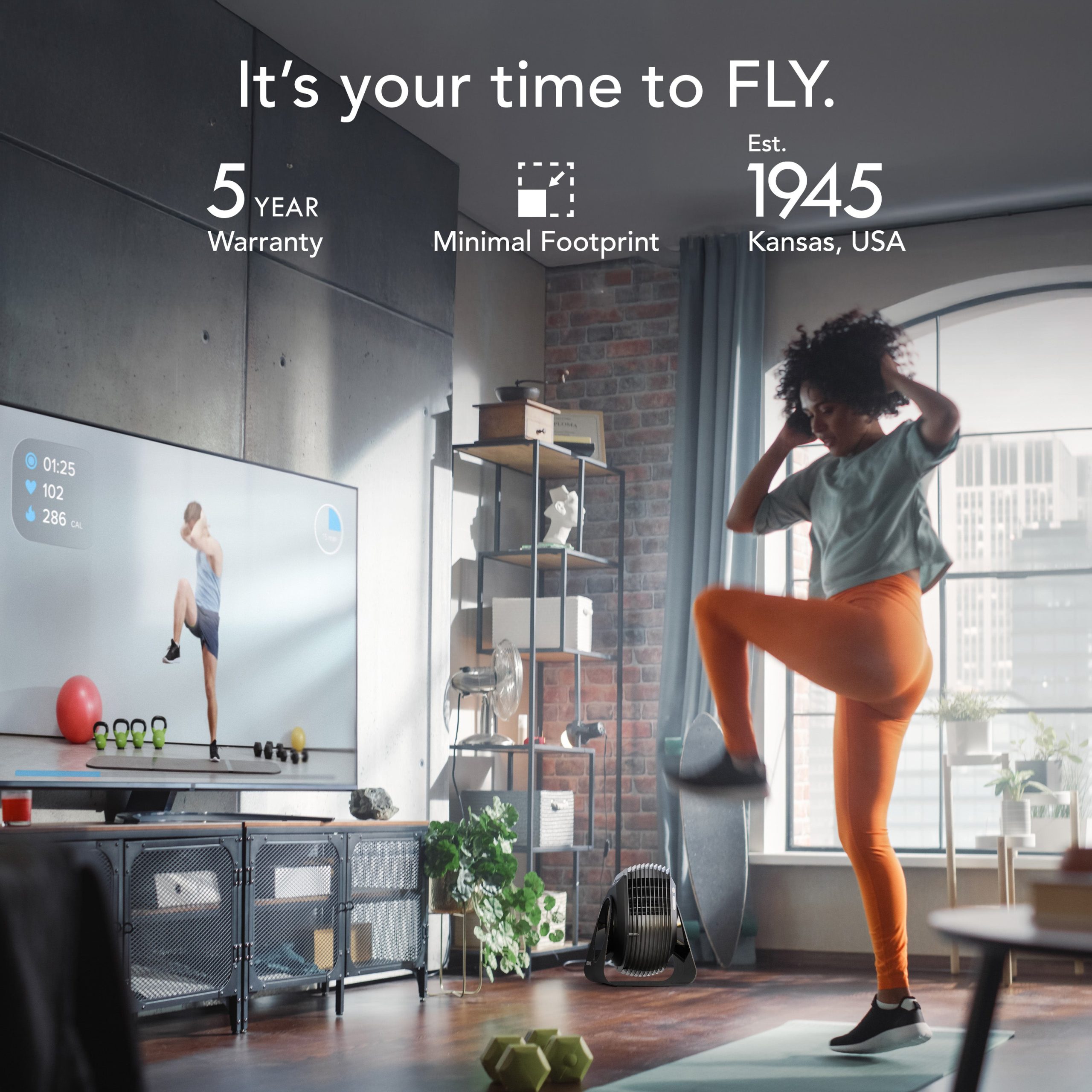 Fly Max High-Velocity Fitness Fan - Image 10